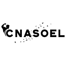 CNASOEL