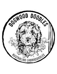 DOGWOOD DOODLES AUSTRALIAN LABRADOODLES