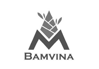 BAMVINA