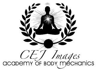 CEJ IMAGES ACADEMY OF BODY MECHANICS