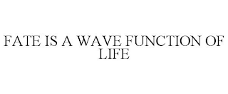 FATE IS A WAVE FUNCTION OF LIFE