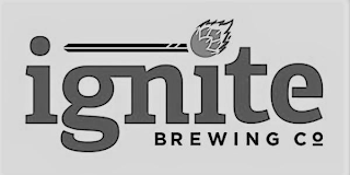 IGNITE BREWING CO