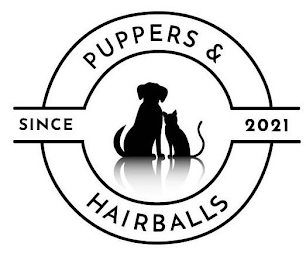 PUPPERS & HAIRBALLS SINCE 2021