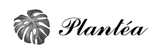 PLANTÉA