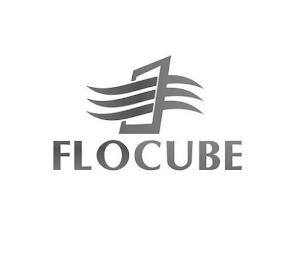 FLOCUBE