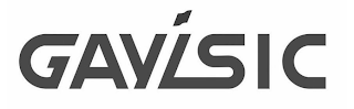 GAYISIC