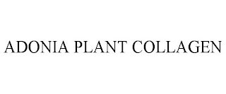 ADONIA PLANT COLLAGEN