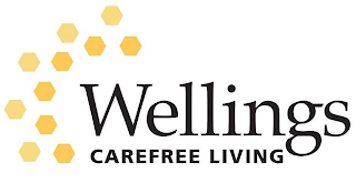 WELLINGS CAREFREE LIVING