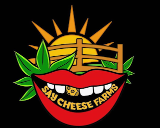 SAY CHEESE FARMS