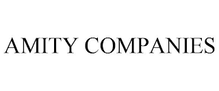 AMITY COMPANIES