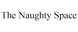 THE NAUGHTY SPACE