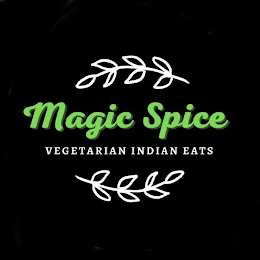 MAGIC SPICE VEGETARIAN INDIAN EATS