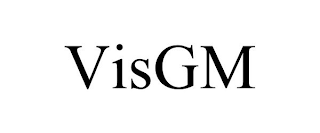 VISGM