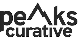 PEAKS CURATIVE