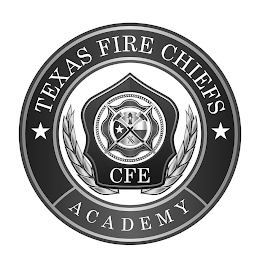 TEXAS FIRE CHIEFS ACADEMY CFE