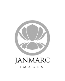 JANMARC IMAGES