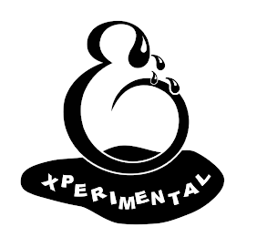 E XPERIMENTAL