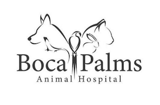 BOCA PALMS ANIMAL HOSPITAL