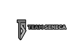 TS TEAM SENECA