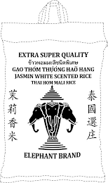 EXTRA SUPER QUALITY GAO THOM THUONG HAO HANG JASMIN WHITE SCENTED RICE ELEPHANT BRAND