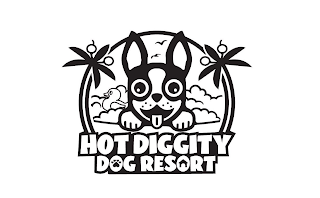 HOT DIGGITY DOG RESORT