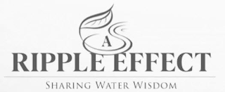 A RIPPLE EFFECT - SHARING WATER WISDOM