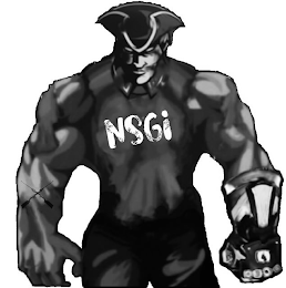 NSGI