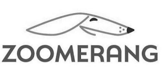 ZOOMERANG