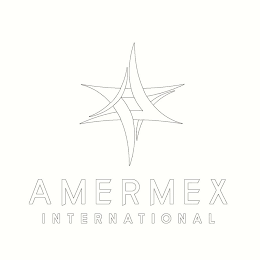 AMERMEX INTERNATIONAL