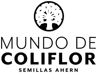 MUNDO DE COLIFLOR SEMILLAS AHERN