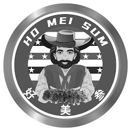 HO MEI SUM