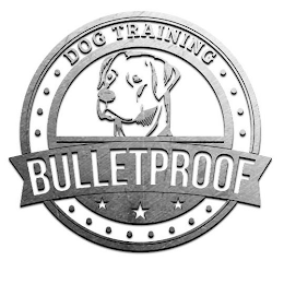 DOG TRAINING BULLETPROOF