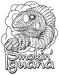 SMOKIN' IGUANA