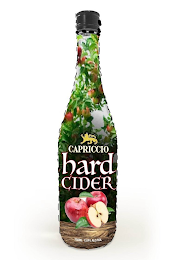 CAPRICCIO HARD CIDER 750 ML 13.9% ALC/VOL