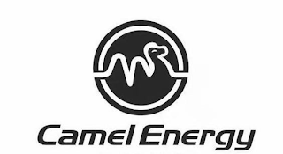 CAMEL ENERGY