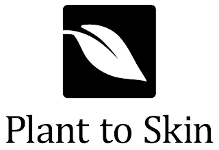 PLANT TO SKIN