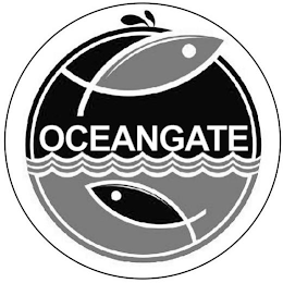 OCEANGATE