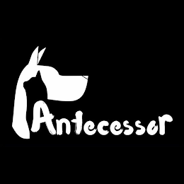 ANTECESSOR