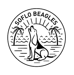 SOFLO BEAGLES