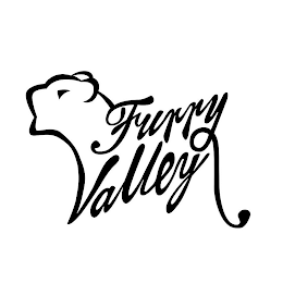 FURRYVALLEY