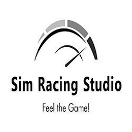SIM RACING STUDIO FEEL THE GAME! trademark
