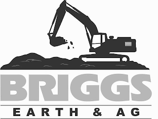 BRIGGS EARTH & AG