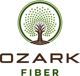 OZARK FIBER