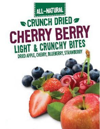 ALL-NATURAL CRUNCH DRIED CHERRY BERRY LIGHT & CRUNCHY BITES DRIED APPLE, CHERRY, BLUEBERRY, STRAWBERRY