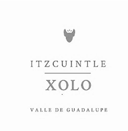 ITZCUINTLE XOLO VALLE DE GUADALUPE