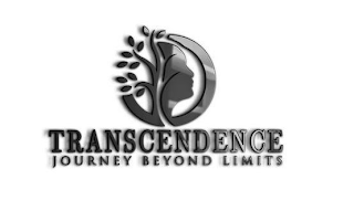 TRANSCENDENCE JOURNEY BEYOND LIMITS