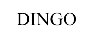 DINGO