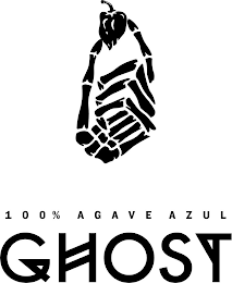 100 % AGAVE AZUL GHOST