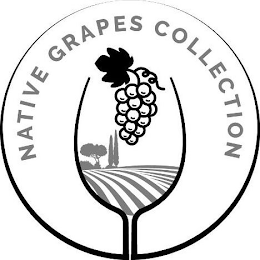 NATIVE GRAPES COLLECTION