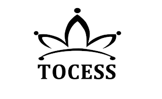 TOCESS